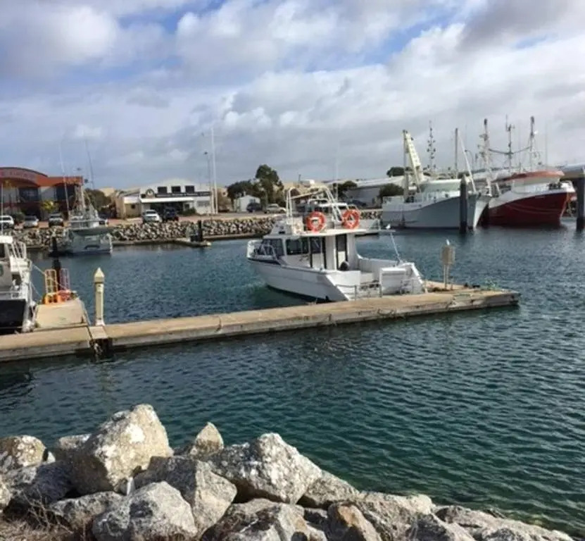 The Shark Apartments 2