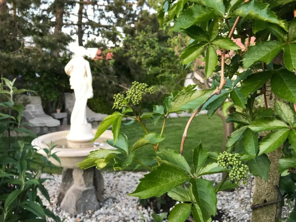 Relaxační studio VERA s UBYTOVÁNÍM