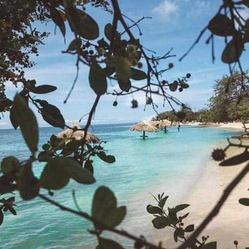 The Venue - Utila