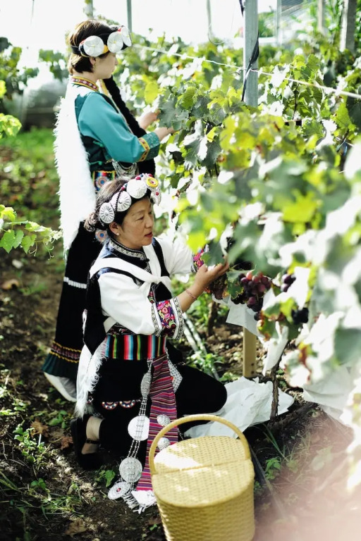 LUX Tea Horse Road Da Ju Village