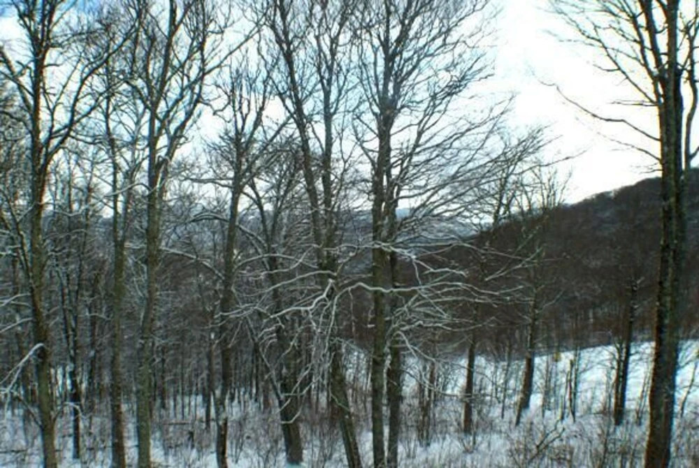 Sugar Ski & Country Club Unit 213 Gold