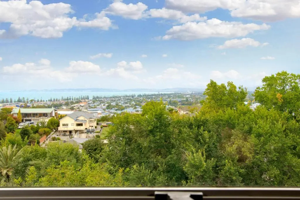 Views on Colenso - Napier Holiday Home