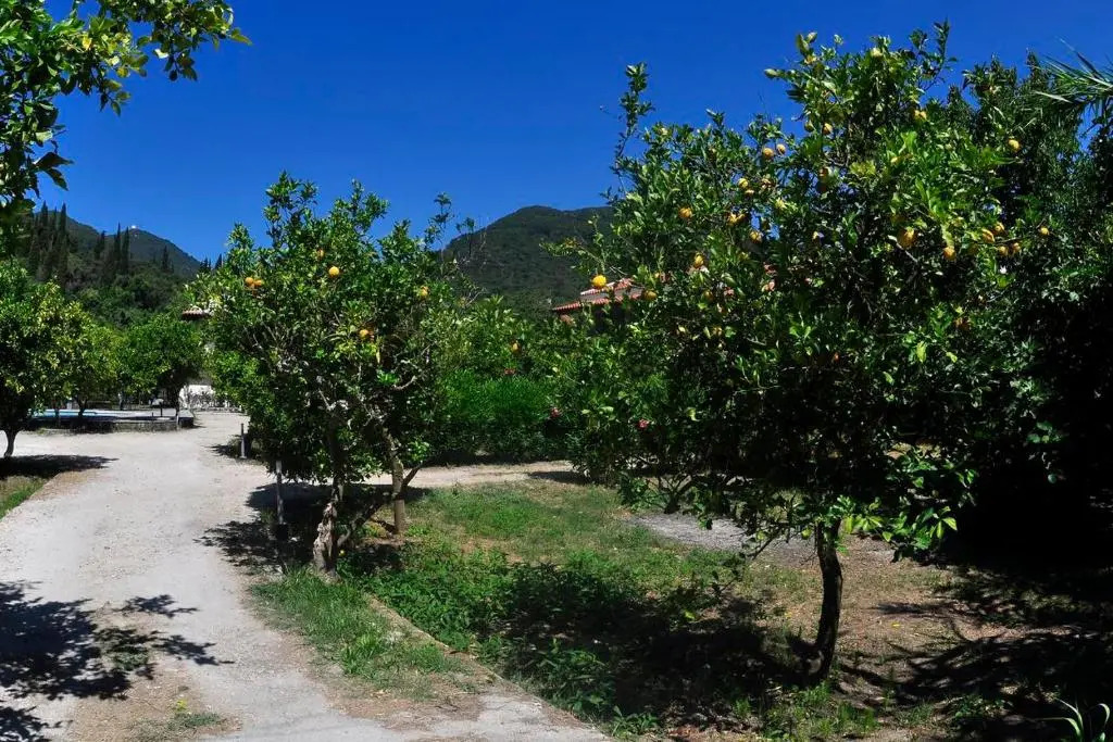 Orange Grove Suites