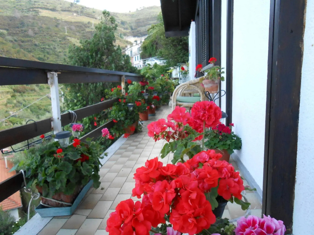 Cinqueterre Holidays