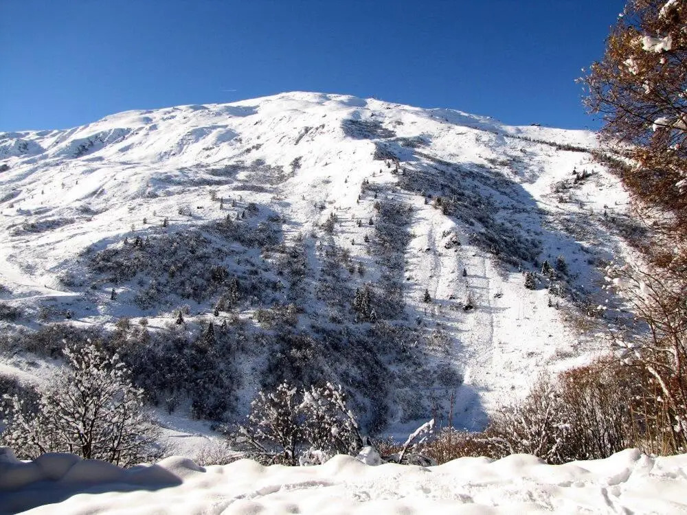 Chalet 6 Pers. Sur Les Pistes 69884