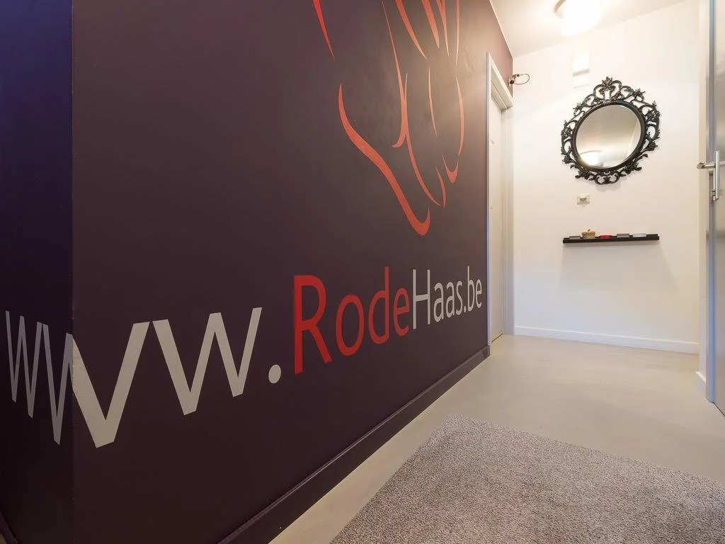 De Rode Haas