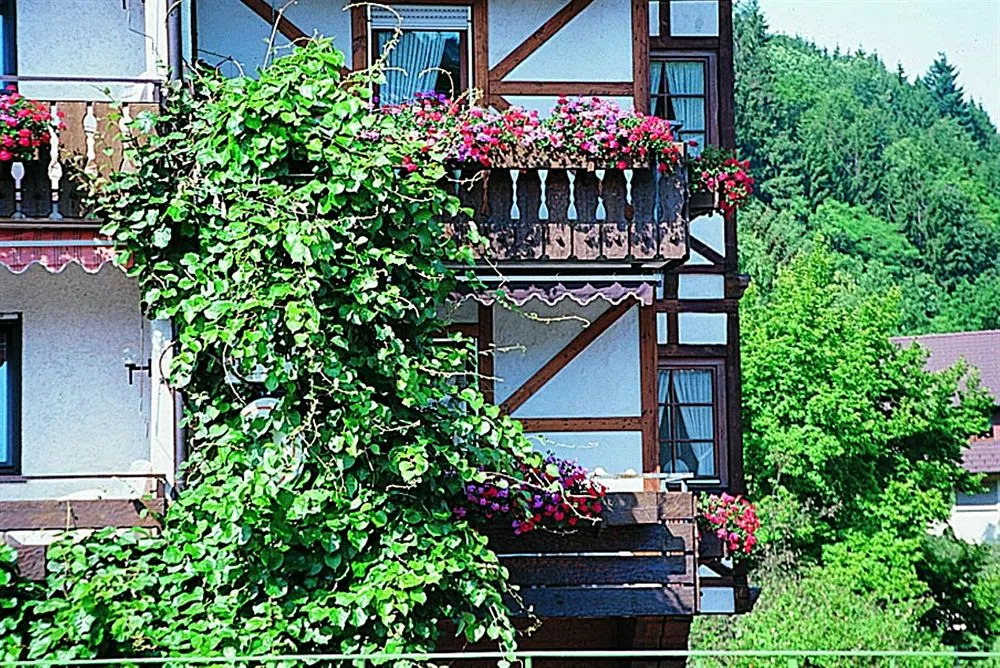 Hotel Hirsch