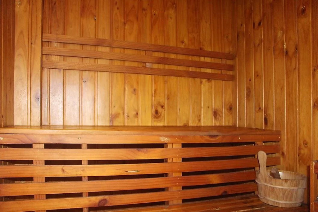 Leman Luxury Suite with Rooftop Pool & Gym