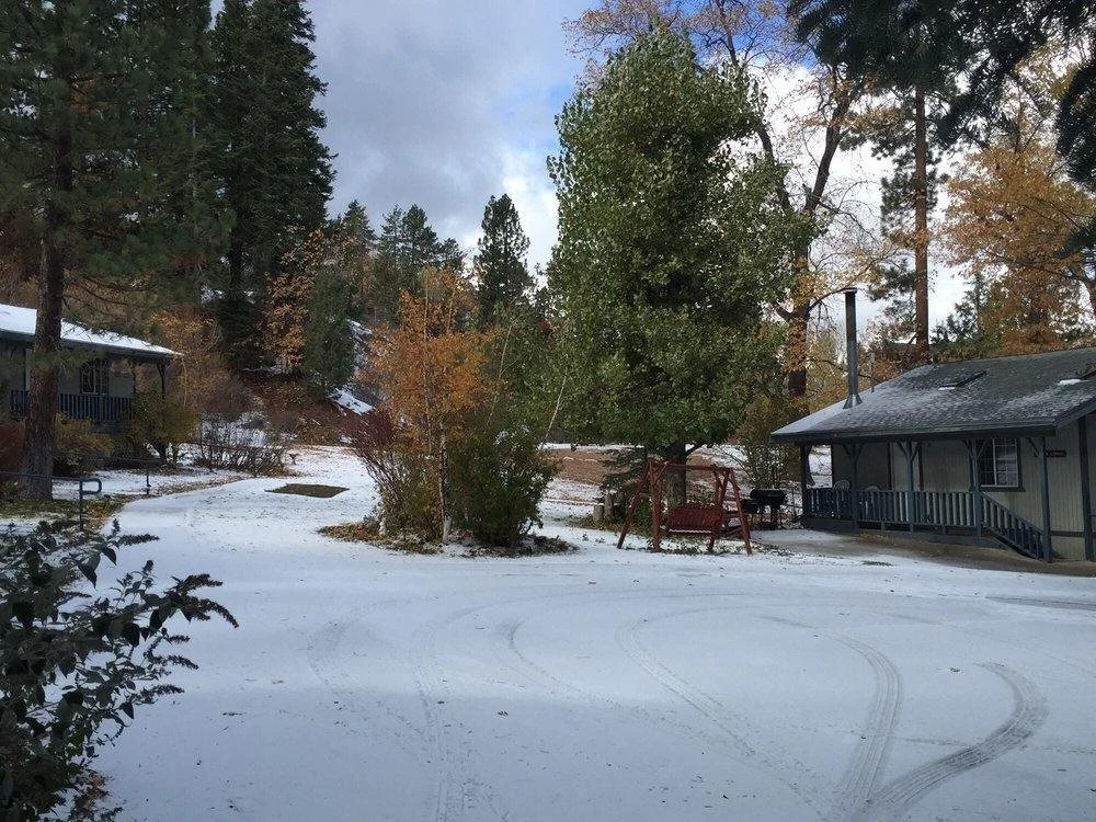 Pine Knot Guest Ranch