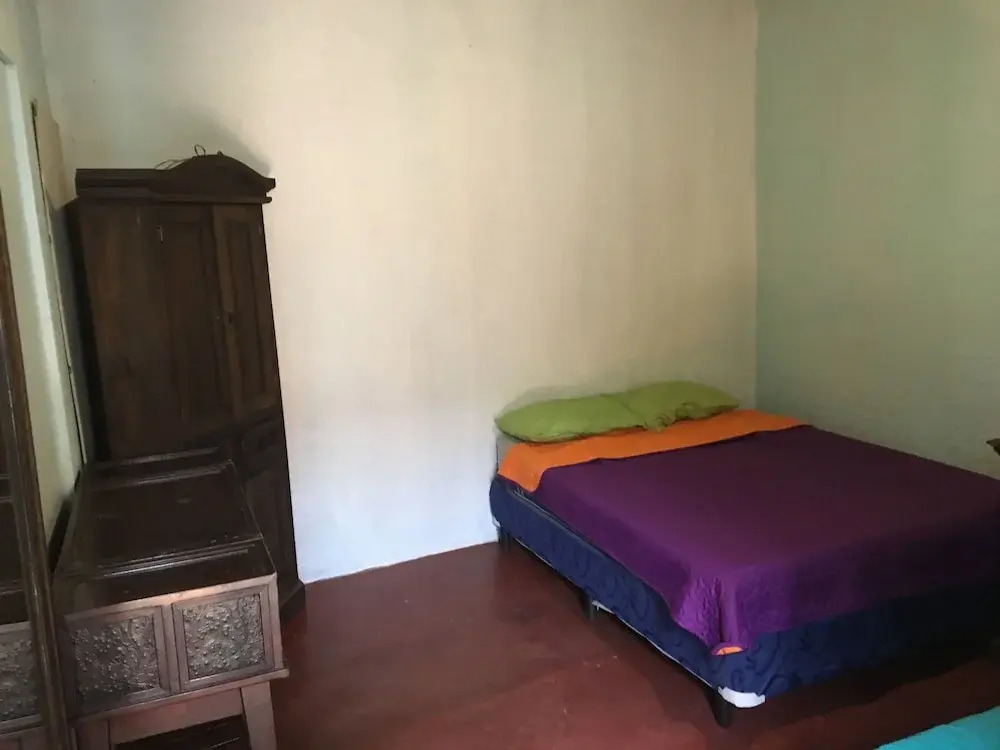 Greenhouse Hostel