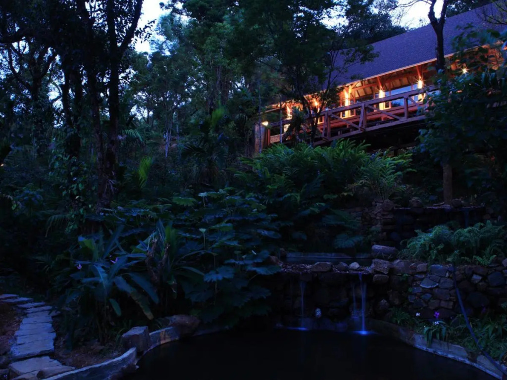 The Tamara Coorg
