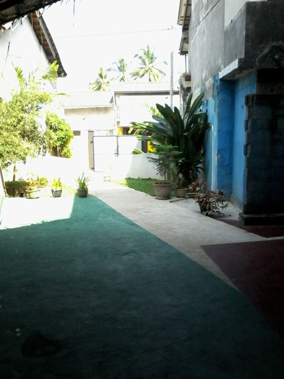 Malikas Yellow House