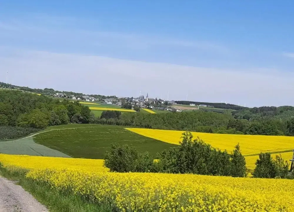 gemütliche Ferienwohnung in Kaifenheim