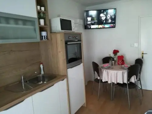 Apartment and room Hudoletnjak