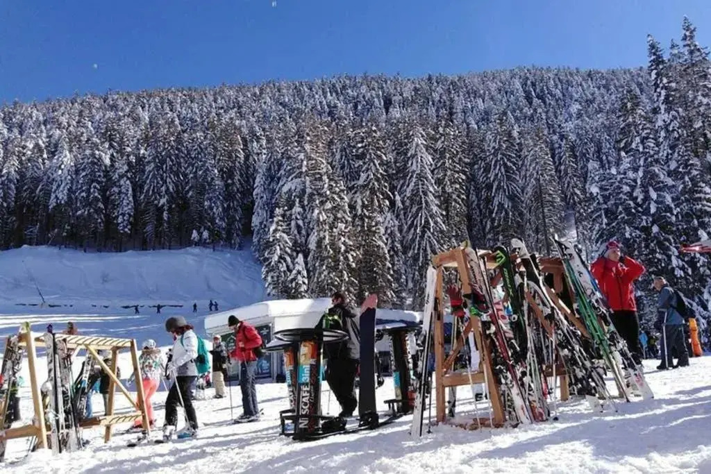 Sunny studio apartment - few steps from Gondola