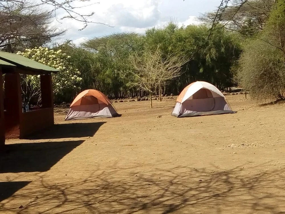Snake Park Campsite