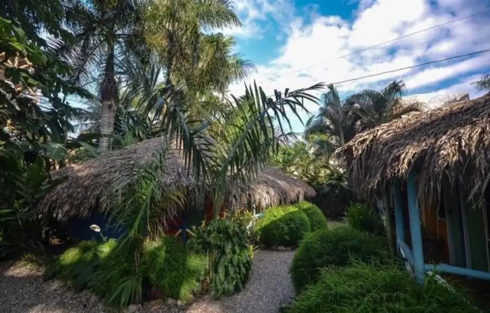 Cabarete Surf Camp