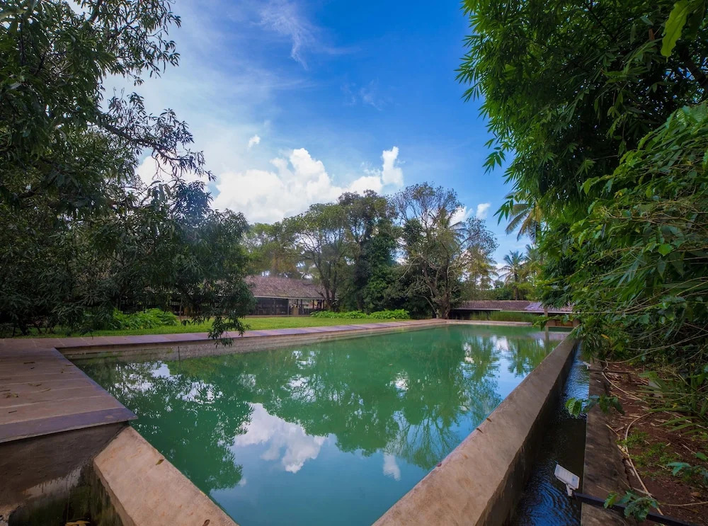 The Orchard Resort
