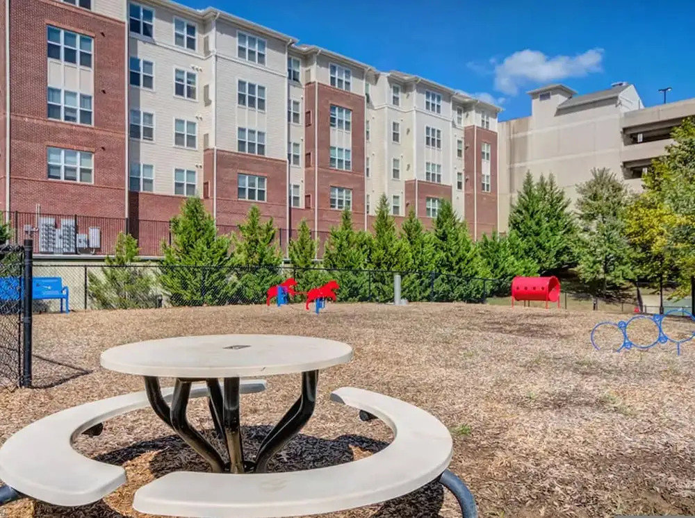 Luxury Penthouse of Lorton VA