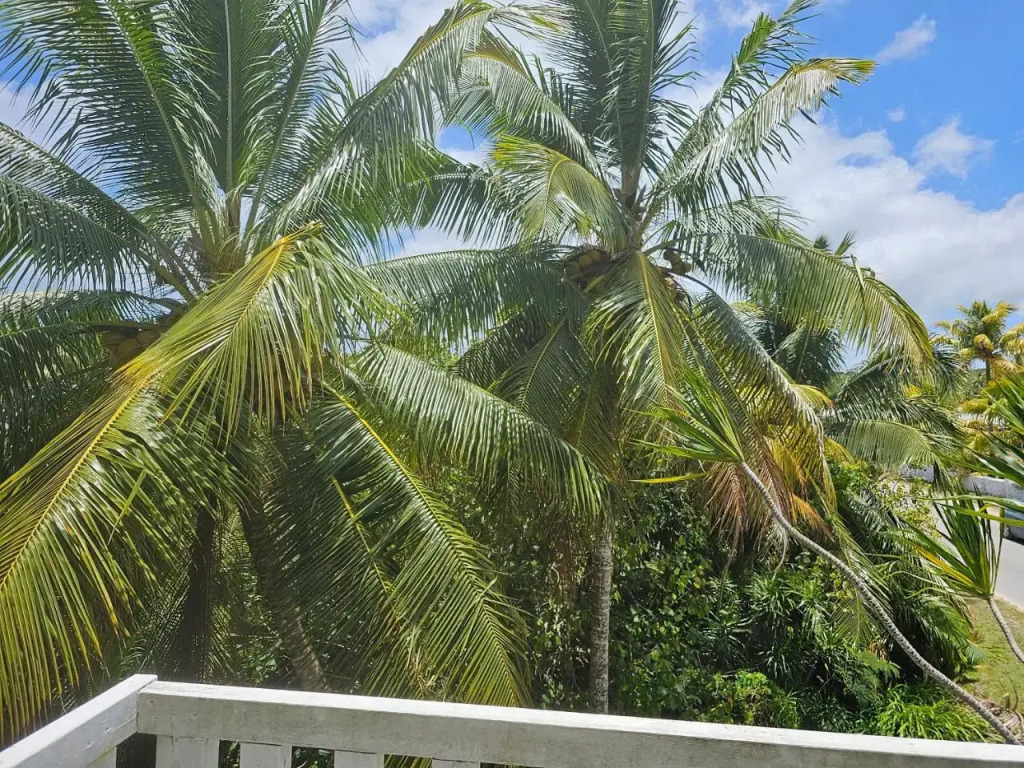 Heleni Jessops Fatahega