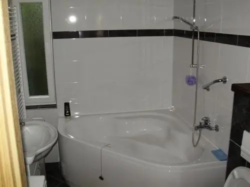 Apartment Maximilian-free parking