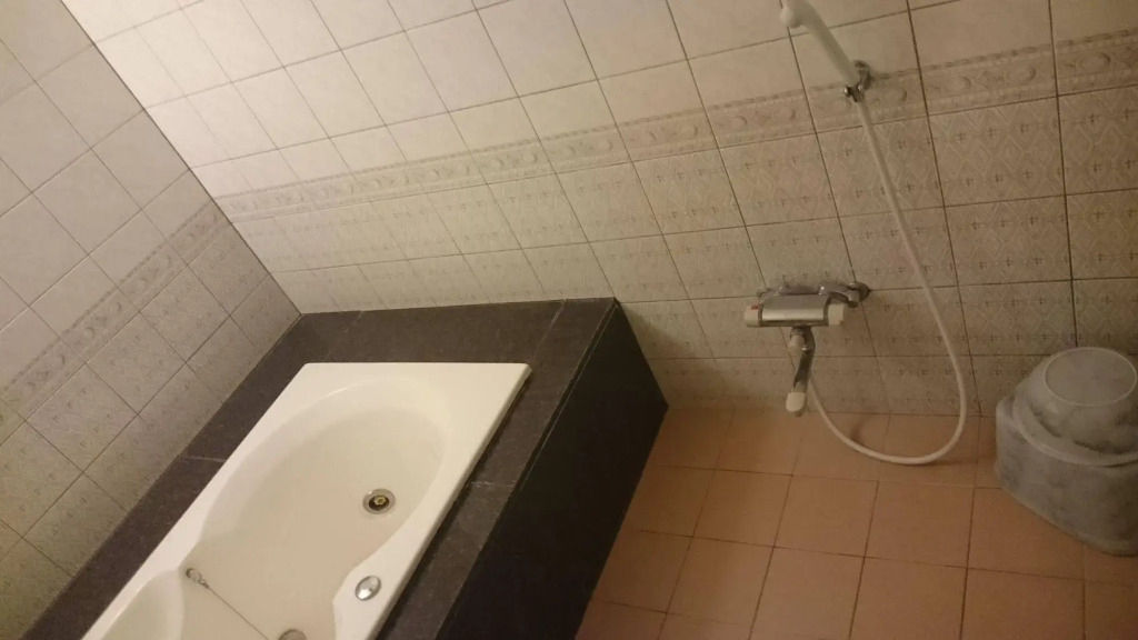 Hotel Alpina