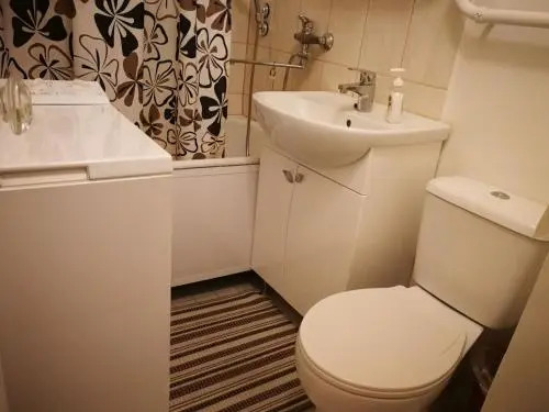 Convenient Central Apartment