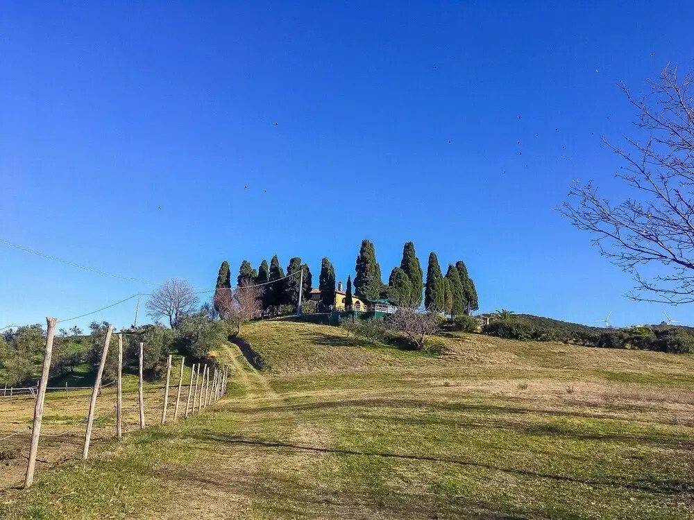 Le Vignacce