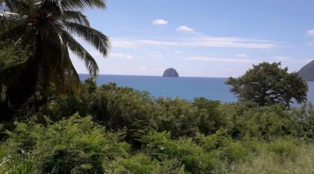 Maison spacieuse avec jardin au Diamant, proche plages