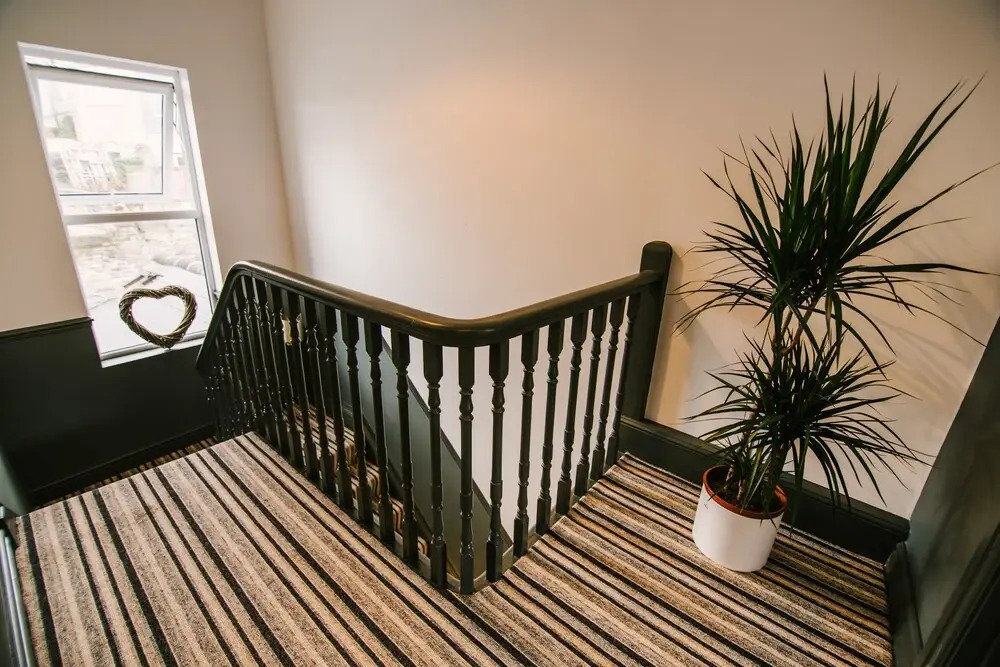 Habita Property Spacious Central Plymouth House Sleeps 8