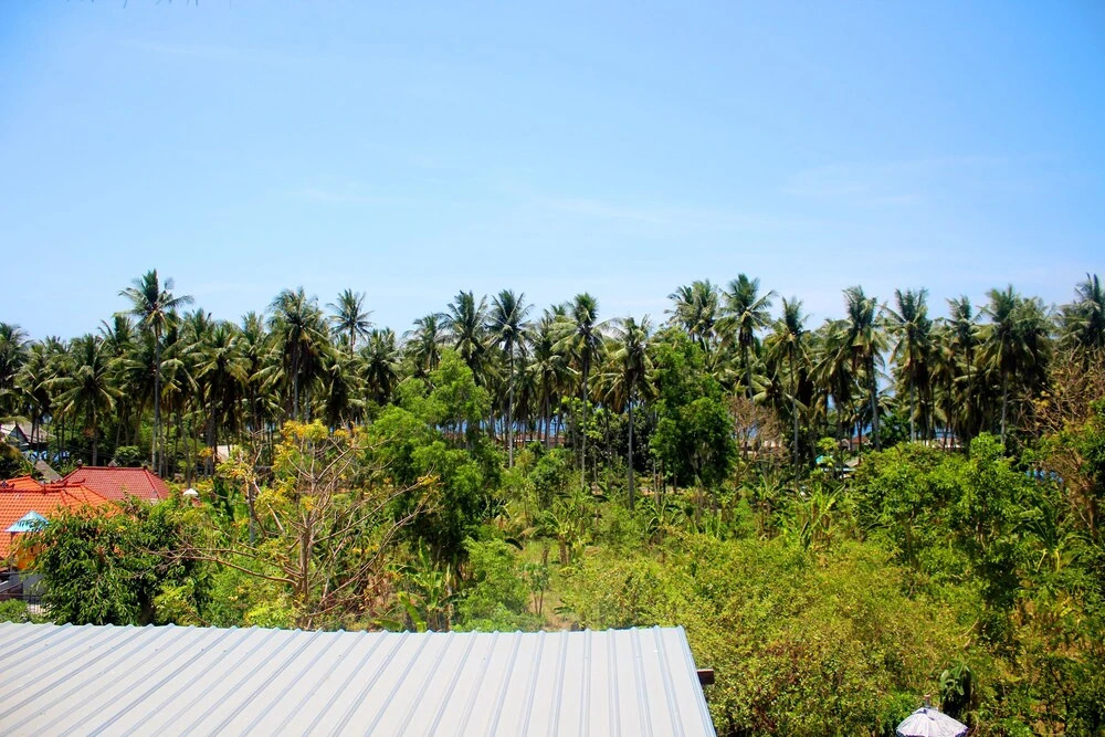 Road Hill Bungalow