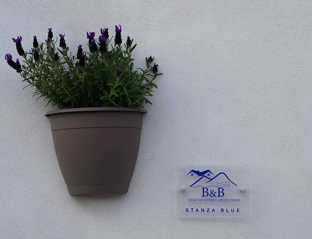 Vesuvio Home Capodichino Blu