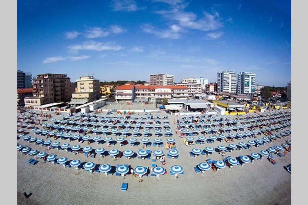 Cortina 2-22