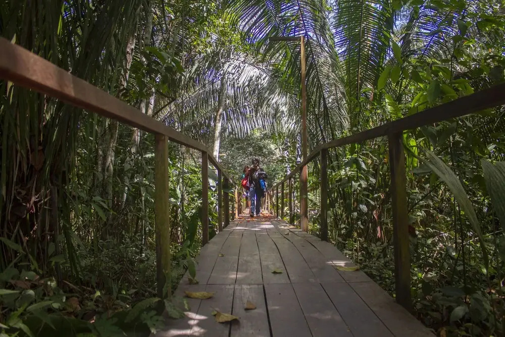 Don Jaime-Tambopata River