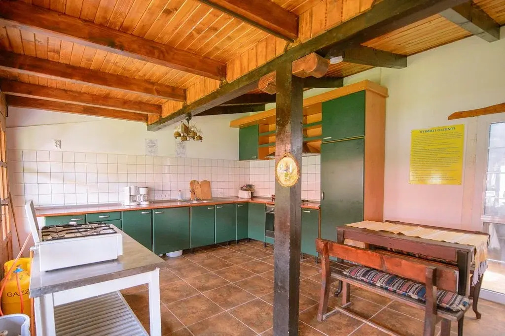 CASA DOBROGEANA Corbu cm