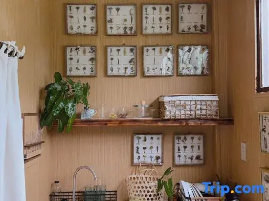 House - homestay sg district 1 HCM