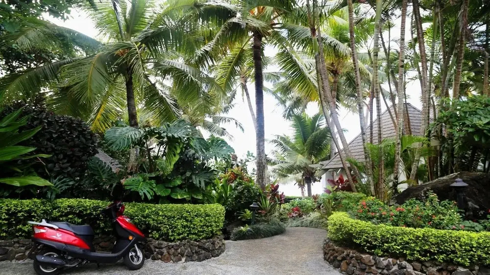 The Estate