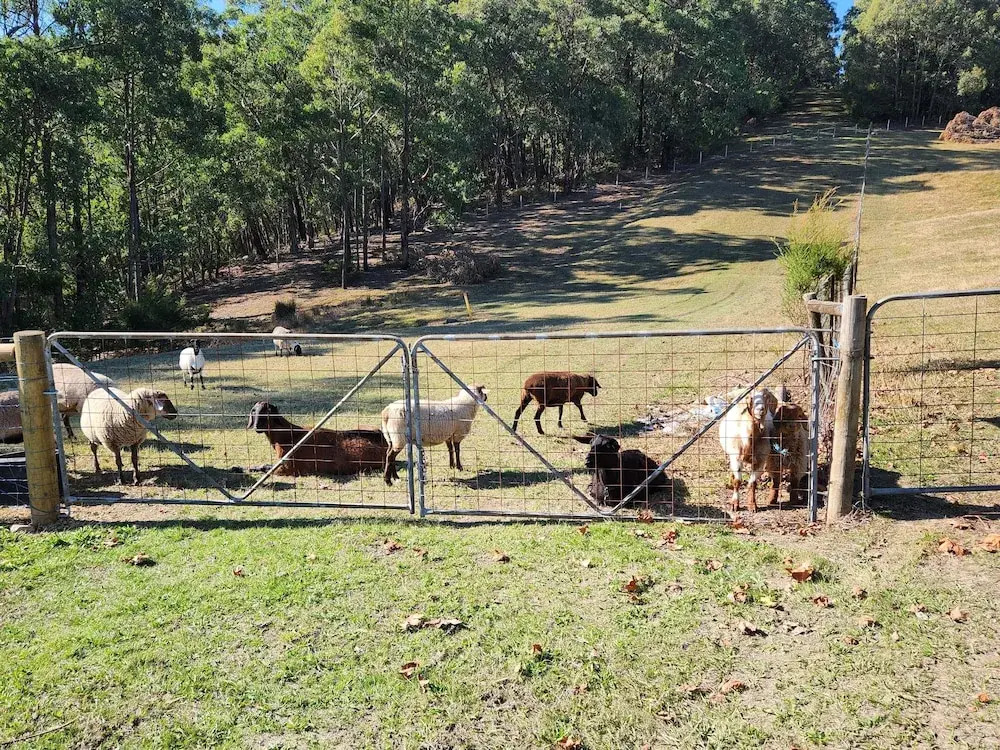 Valley Views BNB