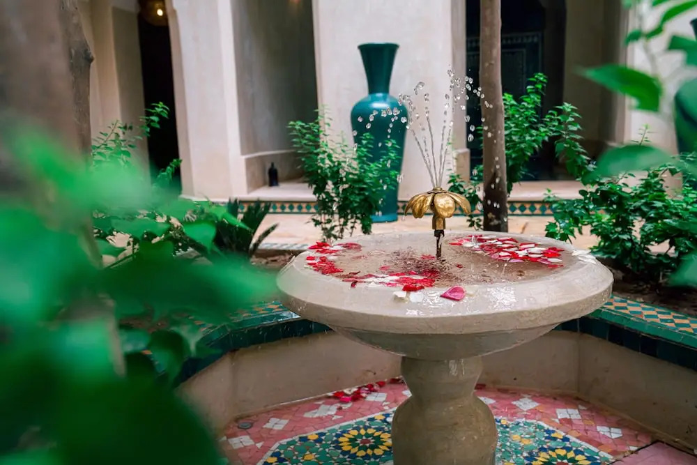 Riad Dar Zaouia