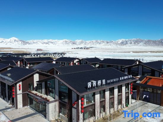 Xixi xili B&B