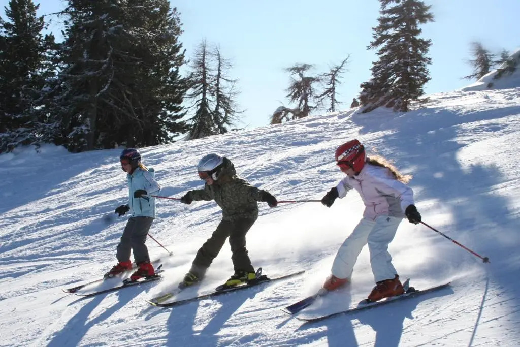 Chaletdorf-Fanningberg