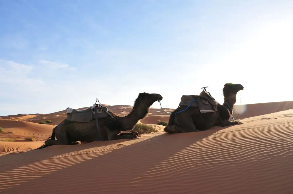 Merzouga Tirssal Camp