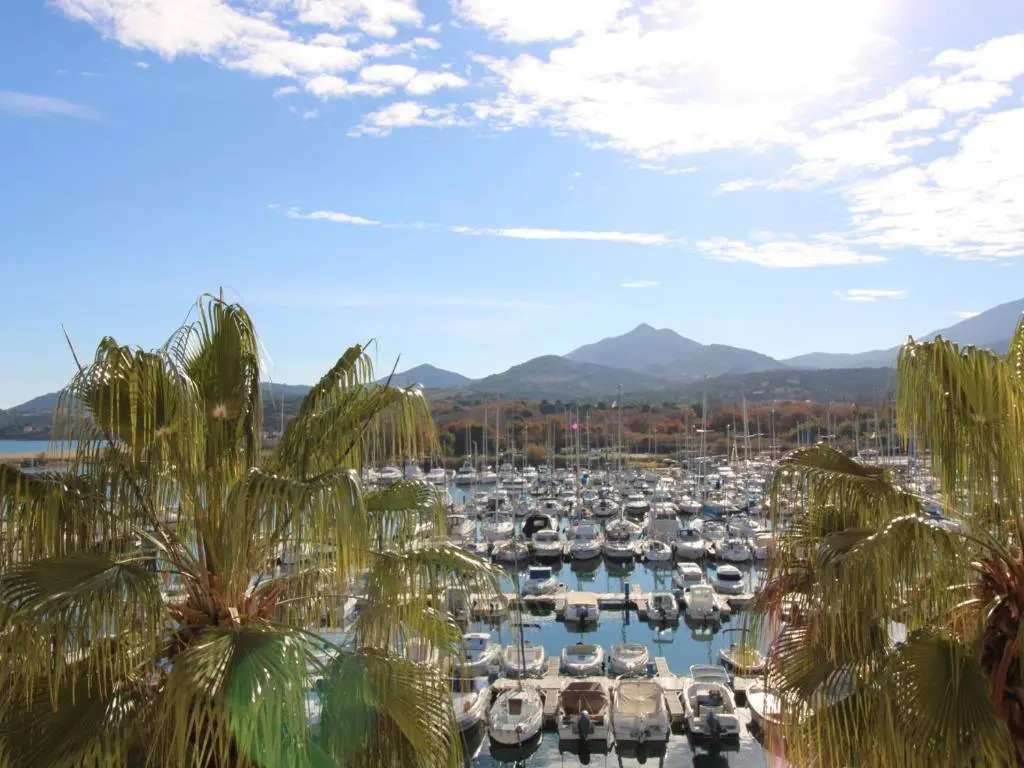 Appartement Argelès-sur-Mer, 2 pièces, 4 personnes - FR-1-309-252