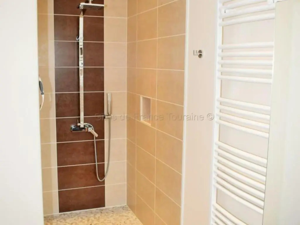 Maison en Touraine avec Spa et Sauna, proche Châteaux de la Loire - FR-1-381-473