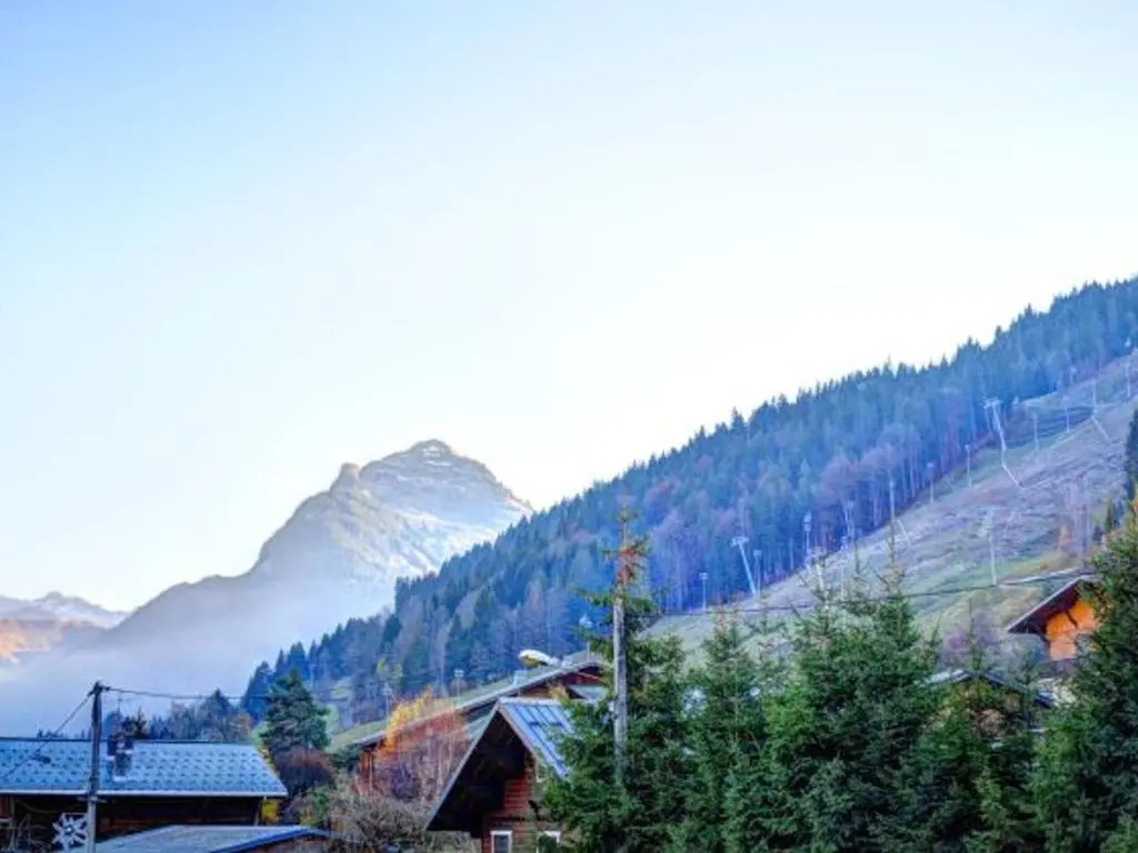 Appartement Morzine, 1 pièce, 4 personnes - FR-1-524-83