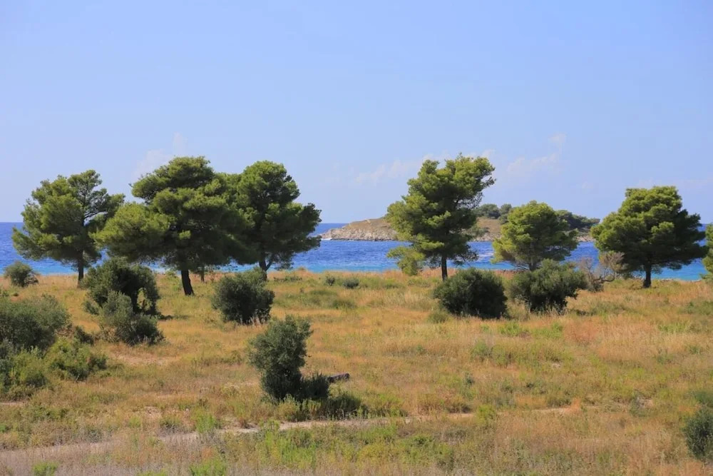 Lias 2 - With Restaurant - A9 Drugi kat