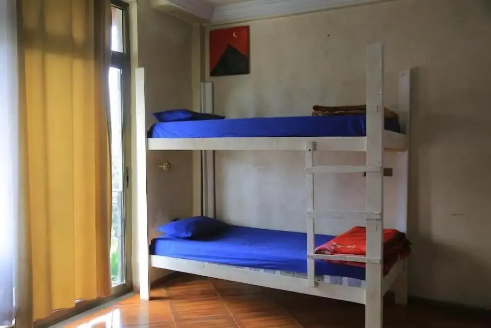 Mad Vervet Hostel - Addis
