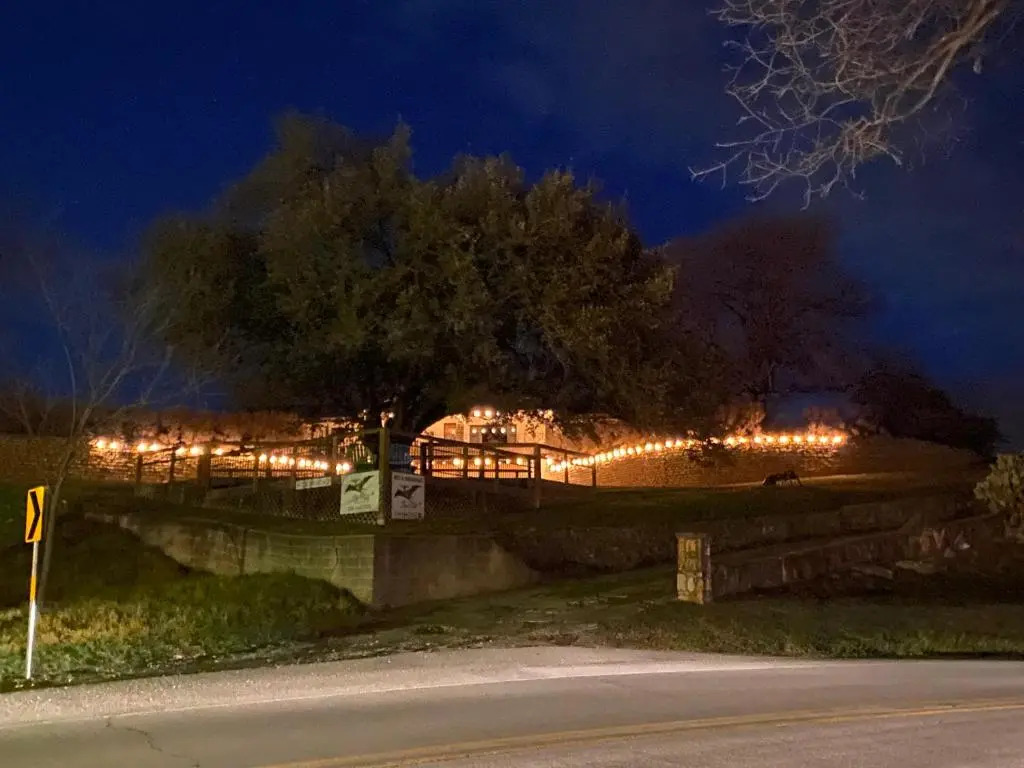 Live Oak B&B