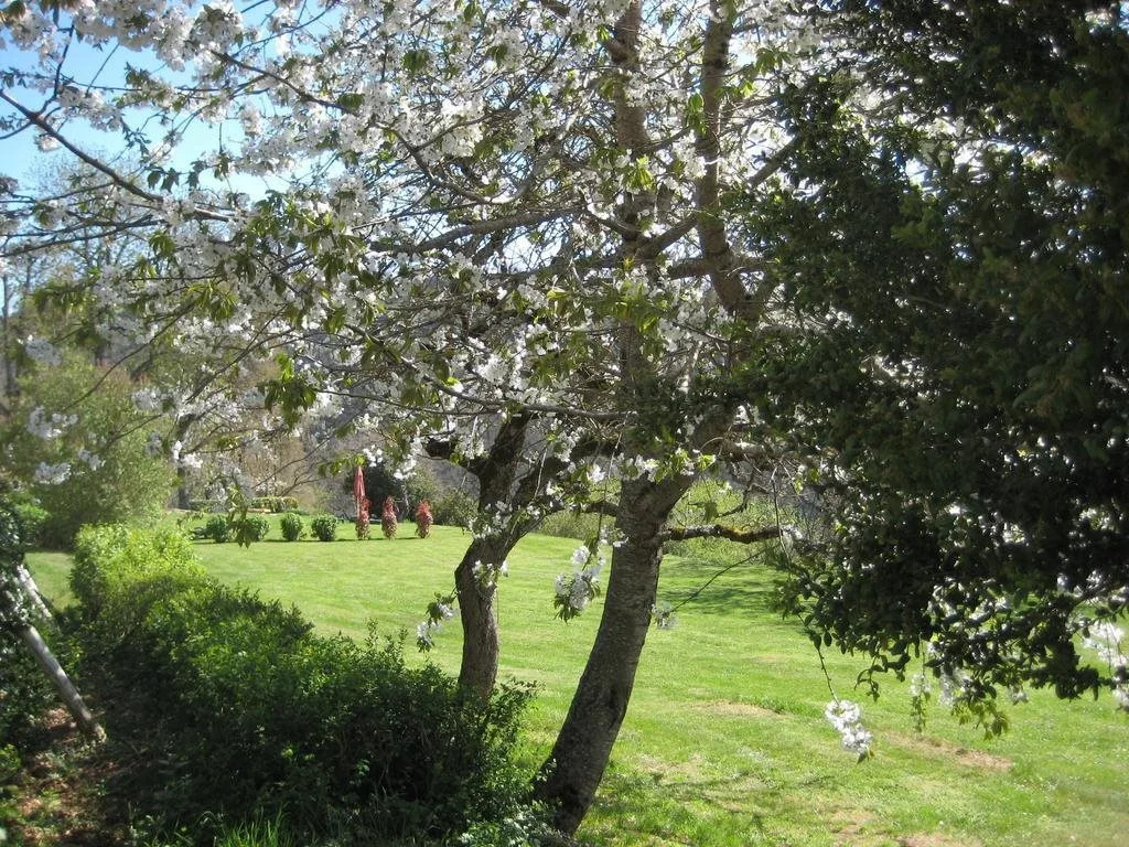Domaine du Bois de Coursac