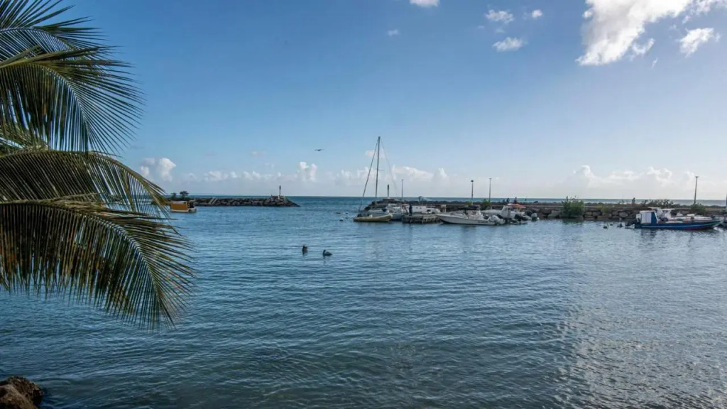 Superbe Studio a la Baie Des Pelicans